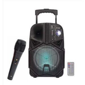 Караоке 8" звучник + микрофон