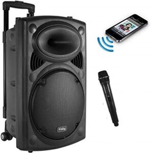 Караоке звучник 12" со 1 безжичен микрофон NDR