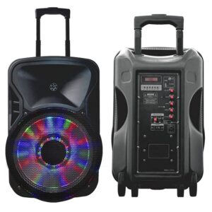 Караоке звучник 15" со безжичен микрофон KTS – 1161