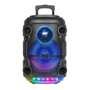 Караоке звучник 12” KTS – 1519