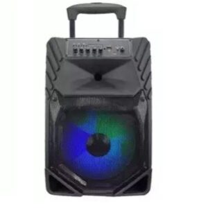 Караоке 15″ звучник 800w + 2 безжичени микрофони